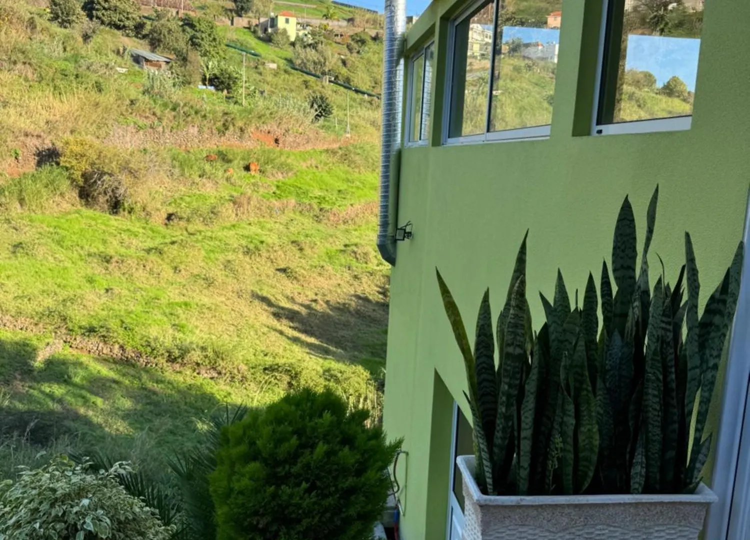 Green House Calheta