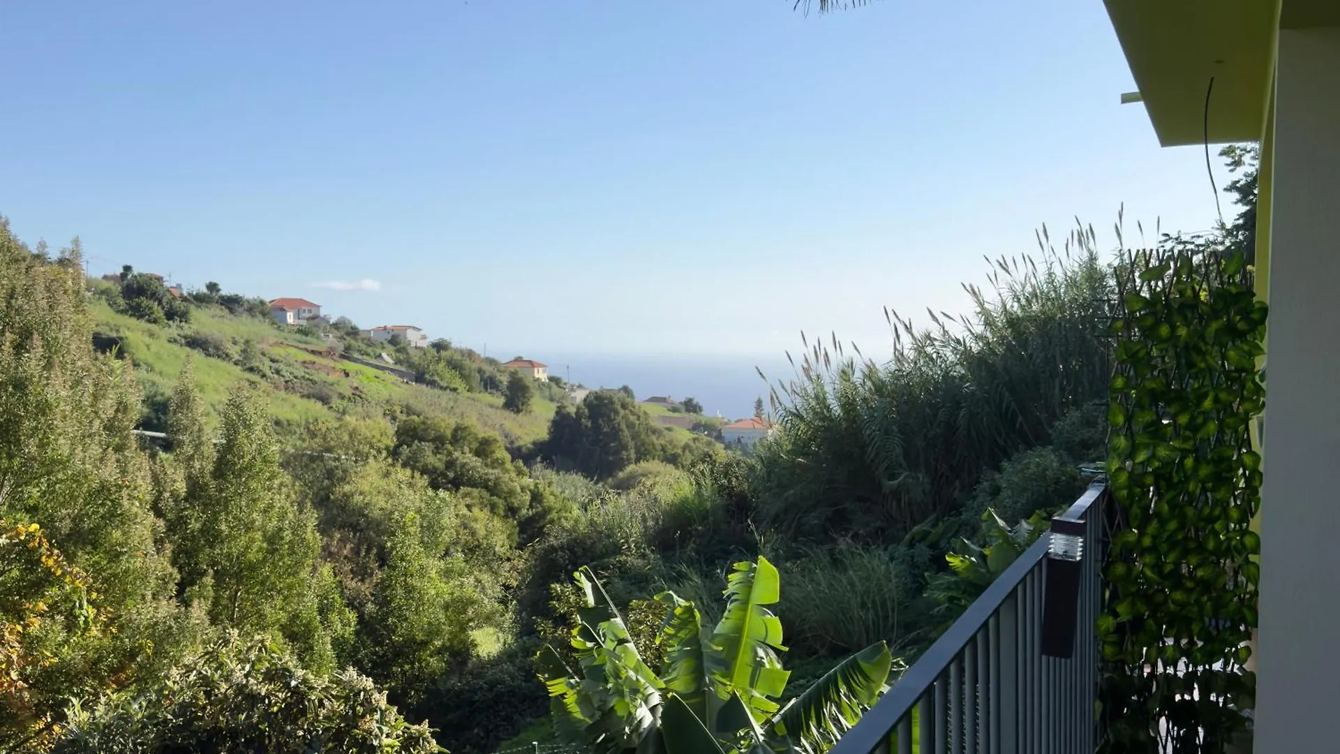 Green House Calheta