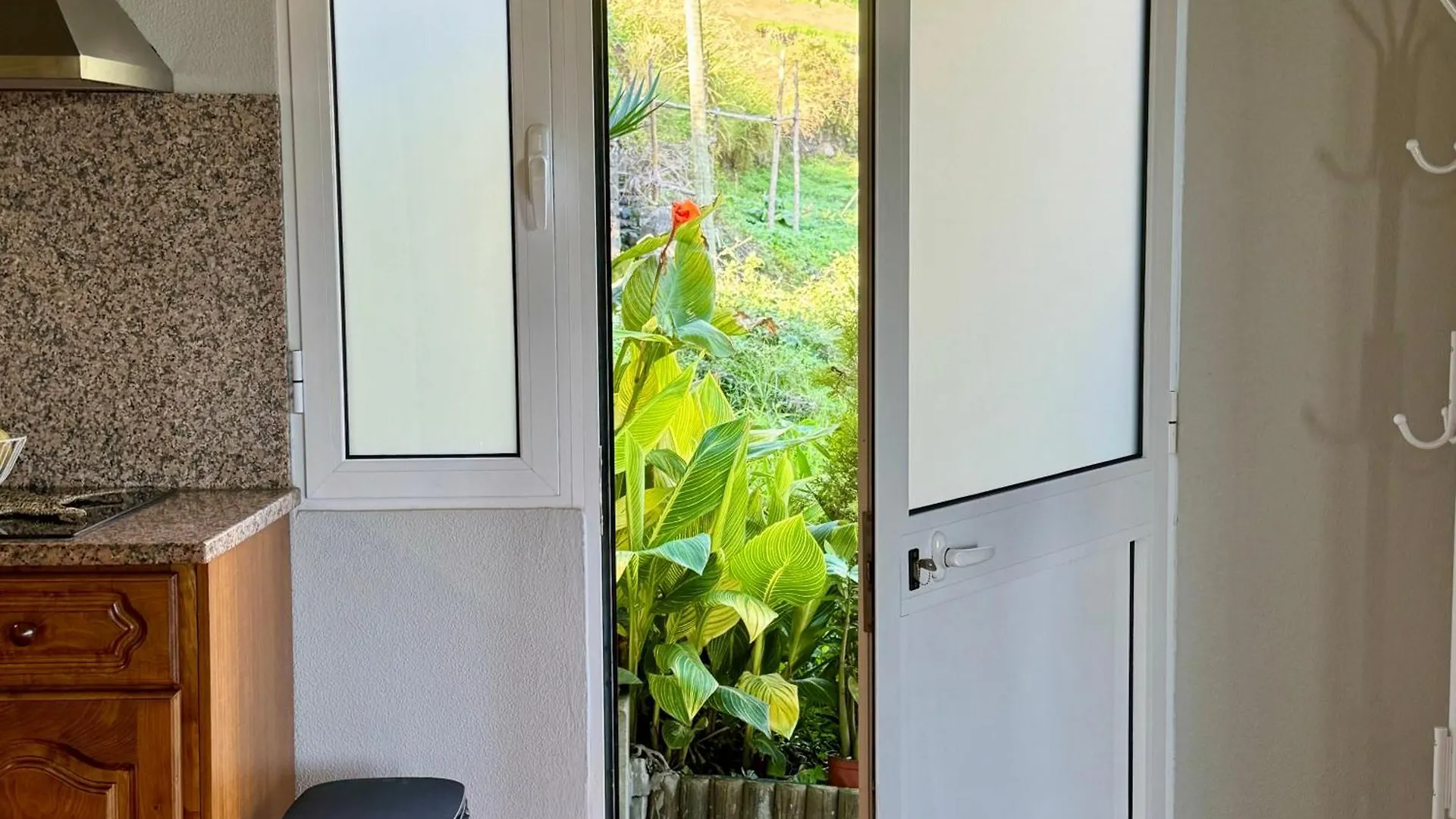 Apartment Green House Calheta  Portugal