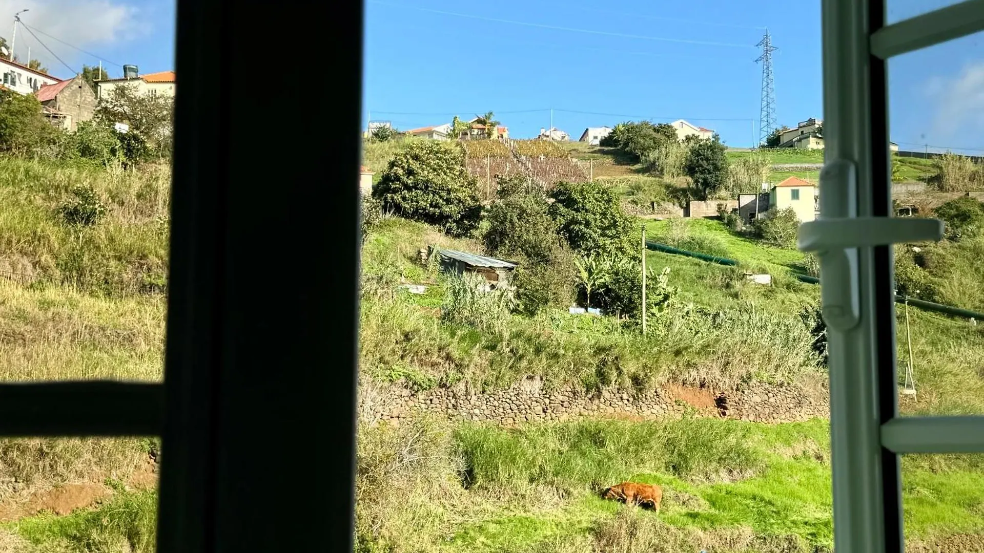 Green House Calheta  Calheta (Madeira)